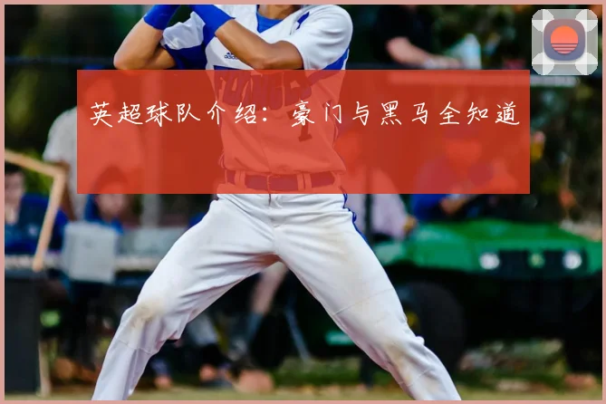 英超球队介绍：豪门与黑马全知道