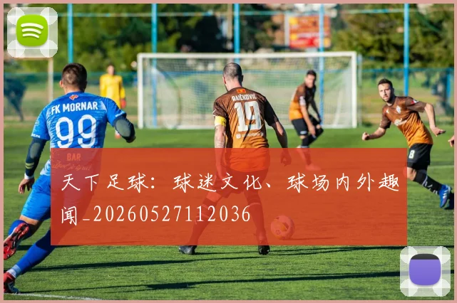 天下足球:球迷文化、球场内外趣闻_20260527112036